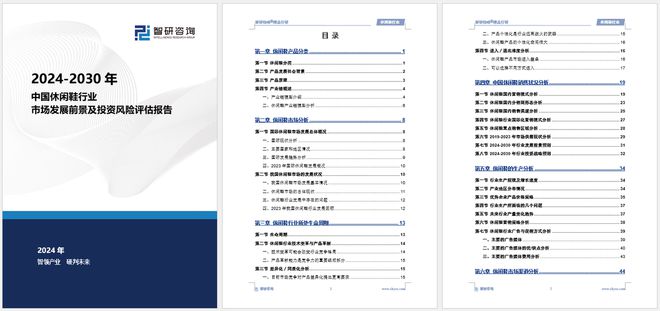 布：中国休闲鞋行业市场研究报告球友会干货收藏！智研咨询重磅发(图2)